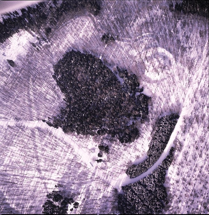 Osthälfte der Stadtwüstung Blankenrode mit Stadtgraben und Burgplatz. Luftbild 1986. © LWL-Archäologie für Westfalen/Johann-Sebastian Kühlborn image-291