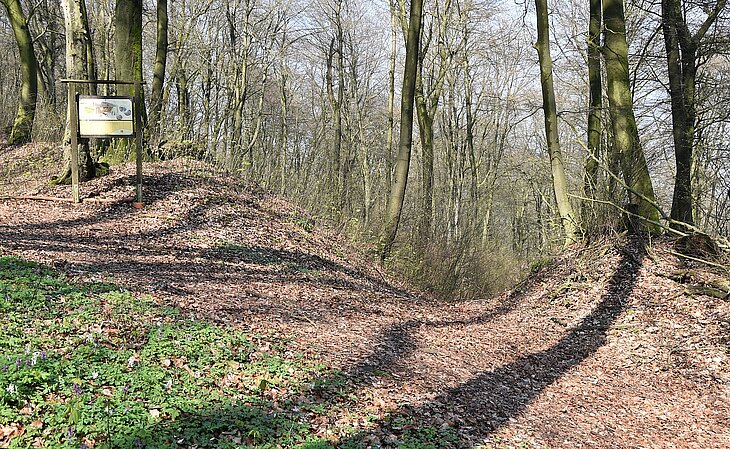  Das Häverstädter Tor. Blick vom Inneren der Wallanlage.
