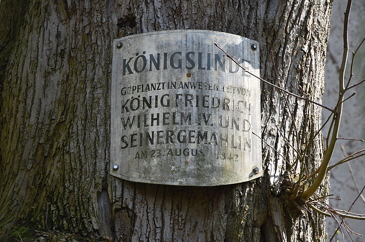  Foto: © Johann-Sebastian Kühlborn / GeFAO e. V. 