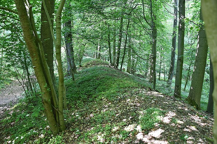 Der Nordwall im heutigen Zustand.