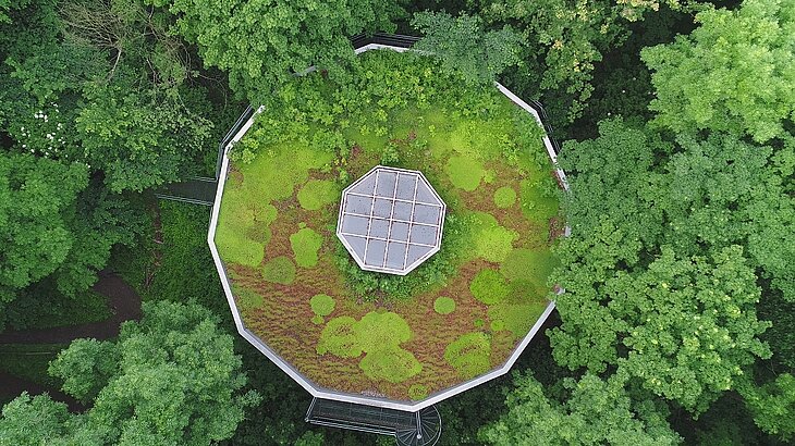 Der von der Gesellschaft zur Förderung der Archäologie in Ostwestfalen errichtete Schutzbau aus der Vogelperspektive im Juni 2017. Foto: © Thomas Janssens, GeFAO e. V.