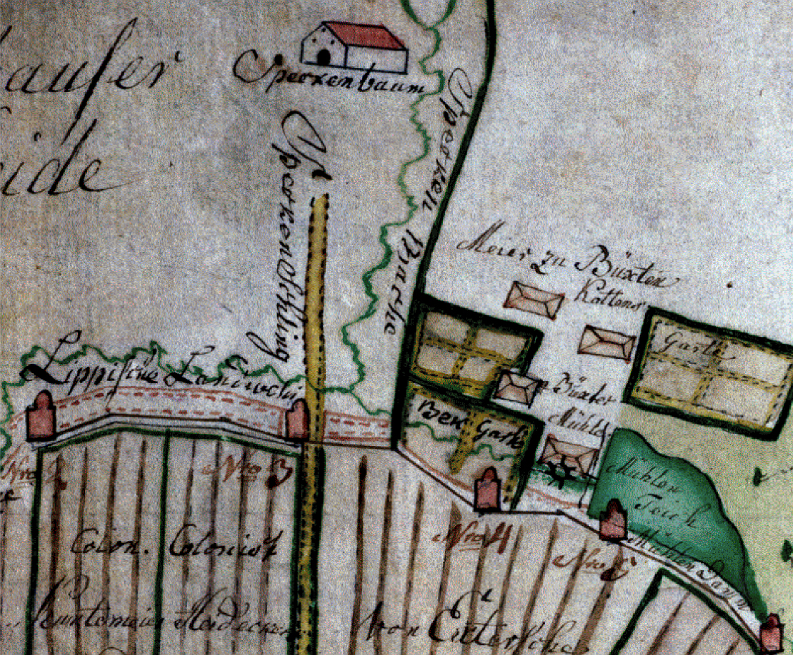 Ein Abschnitt der ravensbergisch-lippischen Landwehr in einer Karte von 1784